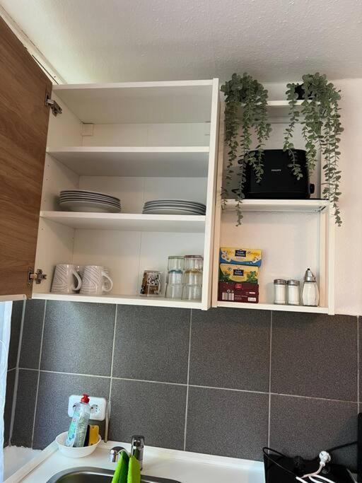 Apartment Am Stuttgarter Flughafen / Messe Leinfelden-Echterdingen Ngoại thất bức ảnh